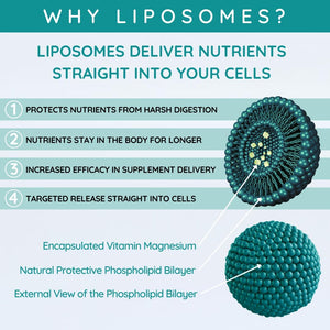 WELL ACTUALLY Liposomal Magnesium Glycinate High Strength 2000Mg - High Bioavailability Liquid Magnesium Bisglycinate Supplement for Brain, Muscle, Sleep Support - Lime & Blackberry (250 Ml)
