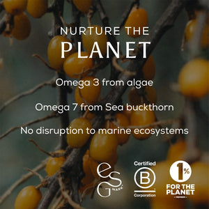 Ancient + Brave True Omegas+ 60 Capsules - Vegan Omega-3 Omega-7 - Sustainable Nutrition Supplement – Plant Based Essential Fatty Acids for Vision Brain and Heart Health