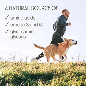 Green Lipped Mussel for Humans & Dogs - New Zealand Green Lipped Mussel Capsules 1000Mg - High Strength Joint & Mobility Supplement with Omega 3-100% Pure Powder - 90 Tablets - Made in the UK