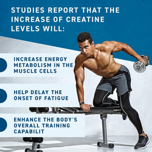 Applied Nutrition Creatine + 700Ml Shaker | Creatine Monohydrate Micronized Powder with Flavour, Increases High-Intensity Physical Performance (250G - 50 Servings) (Strawberry & Raspberry)