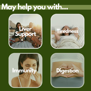 Milk Thistle 14-In-1 Liver Support Complex – 7986Mg per Serving – with Dandelion Leaf, Artichoke Extract, Choline, Turmeric, Vitamins & Minerals – 80% Silymarin – 60 Vegan Capsules (Not Tablets) – UK