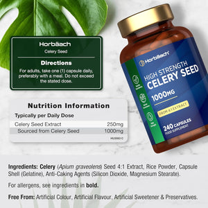 Celery Seed Extract Capsules 1000Mg | 240 Count | Apium Graveolens Supplement | by Horbaach
