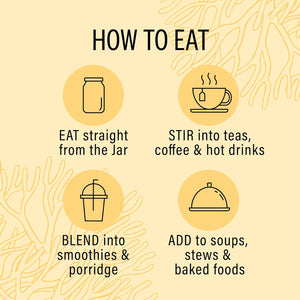 Wyld Herbs All-Natural Organic Sea Moss Gel | 100% Wildcrafted Dr Sebi Sea Moss | Superfood Rich in Minerals, Proteins & Vitamins - Vegan & Gluten Free Sourced from the Caribbean 720ML