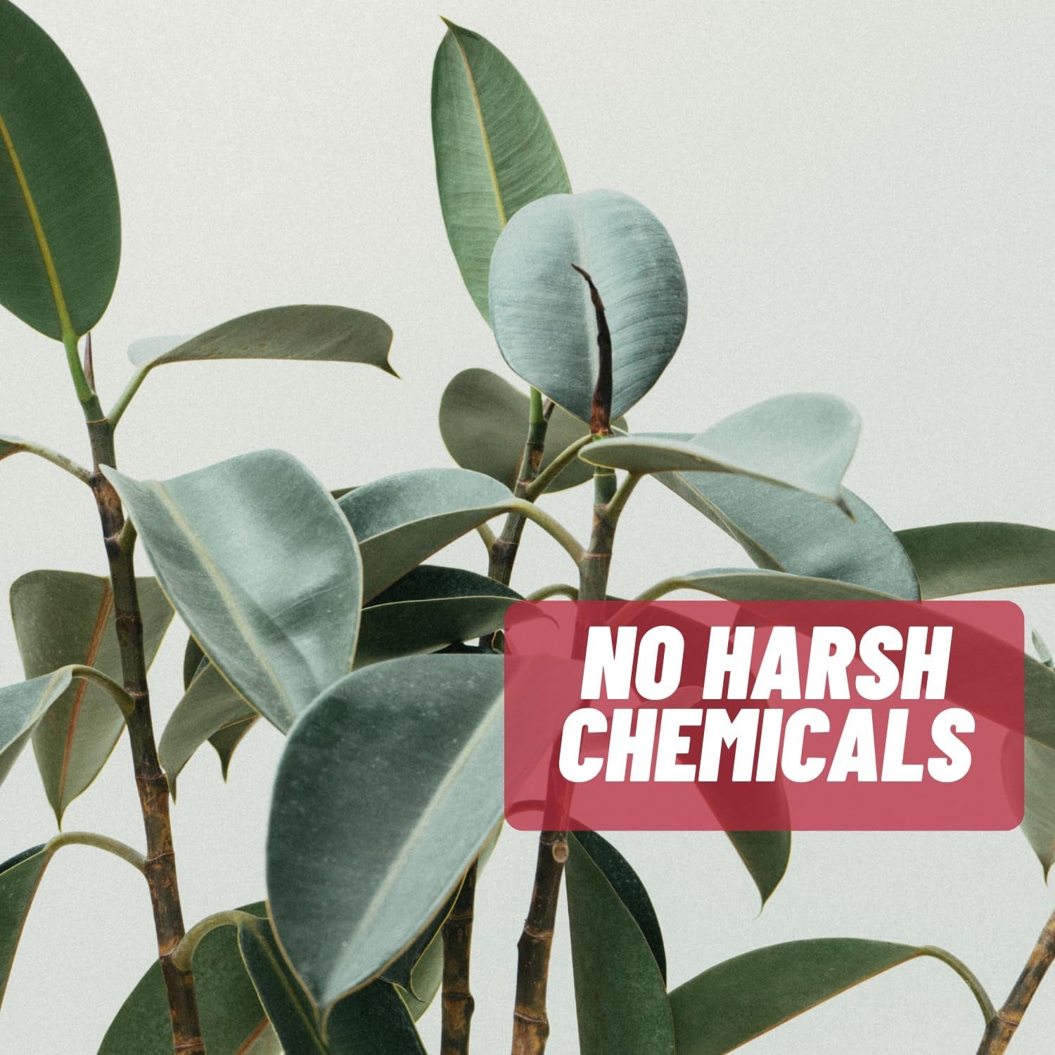 Blemless 30 Day- Clear Skin Supplement Pills Designed to Reduce Oily Breakouts from Spots & Blemishes with Vitamins A, B5, NAC, & Selenium for Women, Men, Teens, & Adults | 60 Natural Capsules