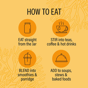 Wyld Herbs All-Natural Turmeric & Ginger Infused Sea Moss Gel | 100% Wildcrafted Sea Moss | Superfood Rich in Minerals, Proteins & Vitamins - Vegan & Gluten Free 300ML