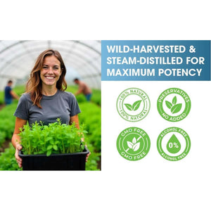 30Ml Wild Oil of Oregano 100% Pure Natural & Undiluted Minimum 92% Carvacrol Highly Potent for Cold, Sore Throat, Cough, Immunity Booster and Gut Health.