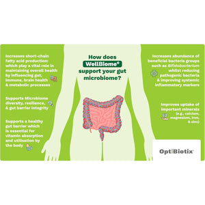 Prebiotic Fibre Complex for Gut Health by Wellbiome – Probiotic Support, Digestive Wellness, Immune System Support – Magnesium for Anxiety, Mood & Energy – 30 Servings