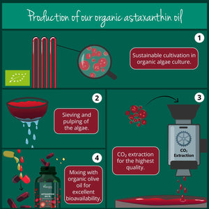 Vegavero Organic Astaxanthin 8 Mg | Natural Antioxidant Supplements | Highly Bioavailable | NO Additives, Lab-Tested | 60 Capsules | Vegan