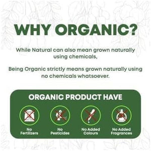 Organic Moringa Powder, 500G Premium UK Certified Organic Pure Moringa Leaf Rich in Essential Vitamins & Minerals