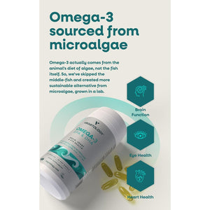 Vegetology, Vegan Omega 3 Capsules High Strength, 800Mg of EPA DHA from Algae Oil, with Added Vitamin D3, Supports Heart, Brain Function and Eye Health, 60 Capsules, UK Made