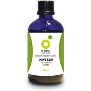 Organic Herbal Remedies 100Ml Olive Leaf Tincture