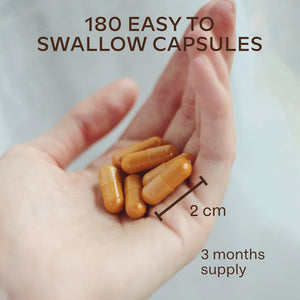 Turmeric and Black Pepper Capsules with Ginger Root Extract - Not Turmeric Tablets - 95% Curcumin Extract, Ginger & Piperine - 180 Capsules - 3 Months Supply - Vegan