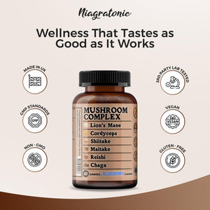 Mushroom Complex 60 Gummies, Lion’S Mane, Cordyceps, Shiitake, Maitake, Reishi, Chaga with Ginkgo Biloba and Elderburry Extract, Sugar Free