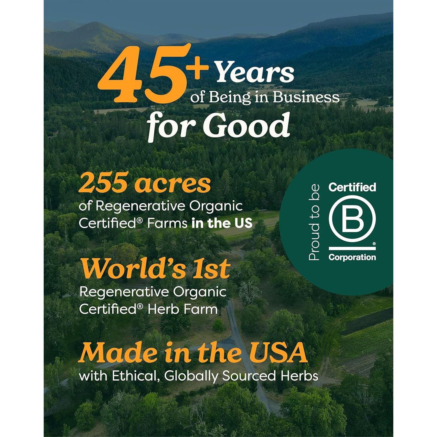 Herb Pharm Kids Mullein and Garlic Oil, 1 Ounce