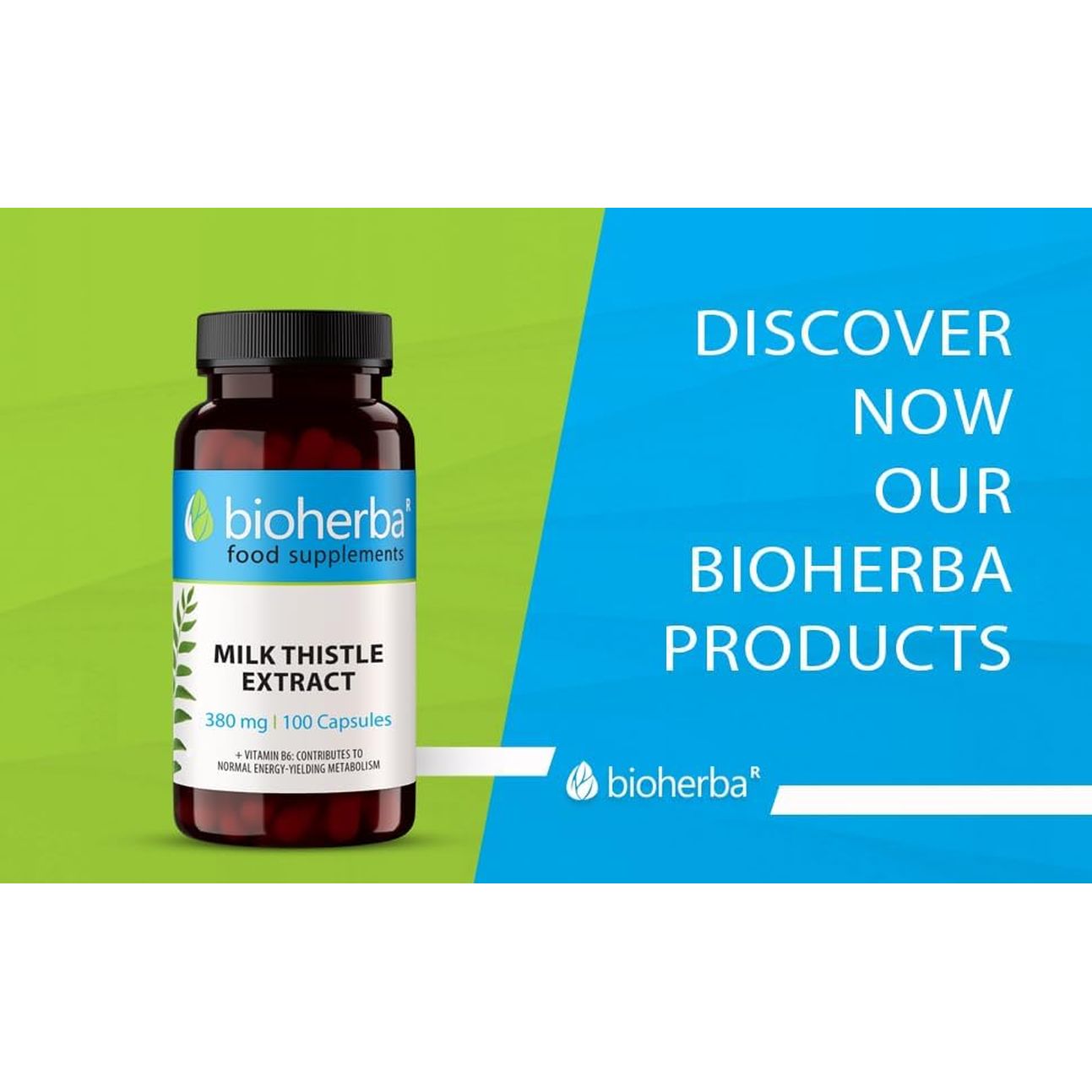 Milk Thistle 380 Mg – 100 Capsules | Herbal Supplement with Silymarin and Vitamin B6 for Antioxidant and Metabolic Support by BIOHERBA