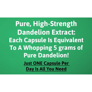 High-Strength Dandelion Extract Capsules (10:1) 5,000Mg per Capsule - 90 per Bottle, Vegan Safe, UK Manufactured