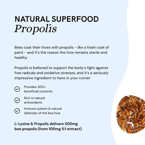 Dr Sosnowski'S L-Lysine & Propolis Supplements | High Potency L Lysine Immune Support Formula with 5:1 Propolis Extract, Quercetin, VIT C, VIT E and Zinc