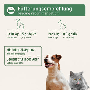 Aniforte Egg Shell Powder 250G Calcium for Dogs & Cats - Natural Calcium Source, Supports Bones & Teeth, Egg Shell Powder for Barf, High Bioavailability