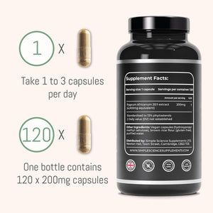 PYGEUM AFRICANUM 4,000MG Equivalent | 120 Capsules | 200MG of 20:1 Extract | 13% Phytosterols | Lab Tested | Prostate Health Supplement | 100% Natural and Non-Gmo