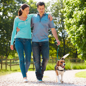 Magcombo - Concentrated Pure Magnesium, Special Oily Formula for Maximum Absorption, Enriched with Vitamins B2, B6, B12 and C, 1 Capsule Daily, Laboratory Tested