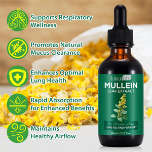 2 Pack Mullein Drops for Lungs, Mullein Leaf Extract with Chlorophyll, Mullein Leaf Extract Supplement, for Lung Cleanse and Respiratory Support