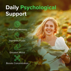 Huperzine a 225Mcg, 90 Caps – Memory & Cognitive Support – Pure Ingredients, GMO & Gluten Free – GMP Certified Nootropic Supplement by Raw Powders