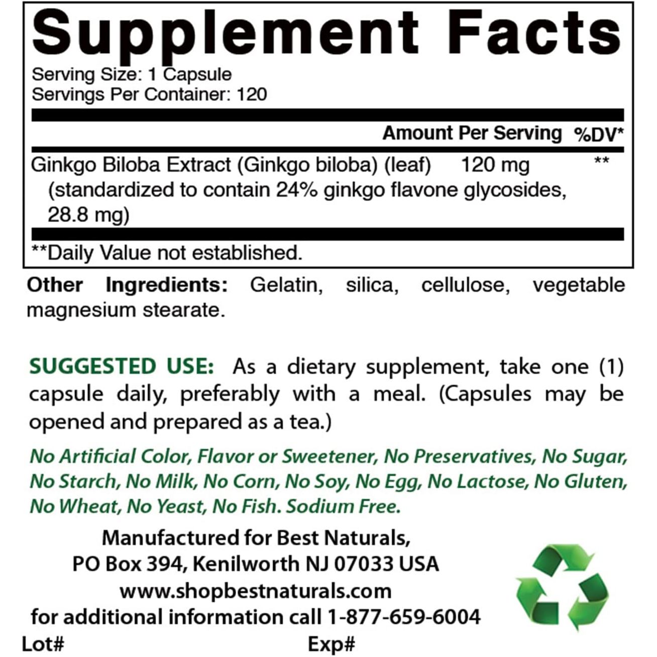 Best Naturals, Ginkgo Biloba Extract - Double Strength Ginkgo Biloba, 120Mg, 120 Capsules (120 Count (Pack of 2))