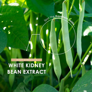 White Kidney Bean Extract 7500Mg – High Strength 1,500 AAIU Phaseolamin – 90 Vegan Capsules – Resealable and Recyclable Pouch – 3 Months Supply – by Alpha01