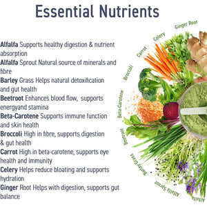 Applied Nutrition Critical Greens Powder and Superfood Blend for Gut Health Energy and Immune Support Vegan Daily Greens Juice Powder (150G - 30 Servings) (Apple Burst)