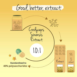 Vegavero Cordyceps Sinensis 6500 Mg | 10:1 Mushroom Extract | 4-Month Supply | 40% Polysaccharides | NO Additives | Lab-Tested | Vegan