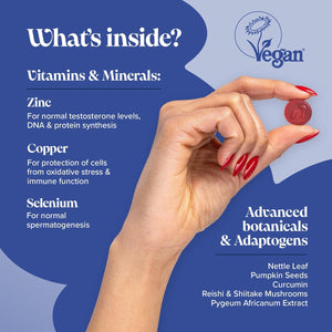 Novomins Prostafit - Prostate Gummies - High Strength Nettle Leaf Supplement for Men - Prostate Support & Urinary Health - with Pumpkin Seed & Zinc - Vegan Men'S Health Supplement - 60 Gummies