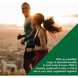 PQQ 20Mg Pyrroloquinoline Quinone as Pureqq | Vegan Certified, Non-Gmo Gluten Free | by Health Thru Nutrition (Pack of 120)