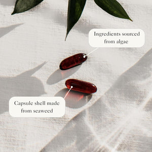 Bare Biology Vegan Omega 3 Algae Oil + Astaxanthin - Vim & Vigour Capsules (30 Servings) EPA 250Mg DHA 500Mg, Sustainably Sourced/Independently Tested for Purity