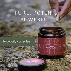 Ancient + Brave Organic Ashwagandha Capsules | 600Mg | Stress Relief, Immune Support & Cortisol Reduction | 60 Vegan Capsules for Balance, Energy, & Endurance