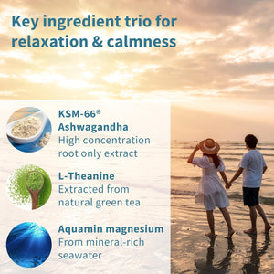 Igennus Advanced Ashwagandha KSM-66 Stress Support Complex 600Mg with L-Theanine & Magnesium, B-Vitamins & Zinc, Clean Label, Root-Only Extract 5% Withanolides, Vegan, 30 Servings