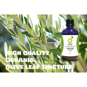 Organic Herbal Remedies 100Ml Olive Leaf Tincture