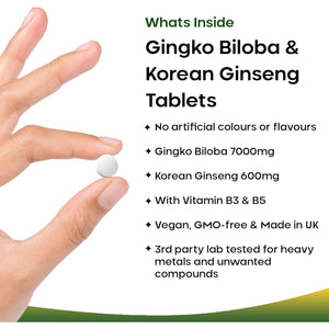 Ginkgo Biloba and Korean Ginseng Tablets - 7000Mg Ginkgo Biloba Herbal Supplements & 600Mg Panax Ginseng High Strength Extract - Enriched with Vitamin B3 & B5-120 Vegan Tablets