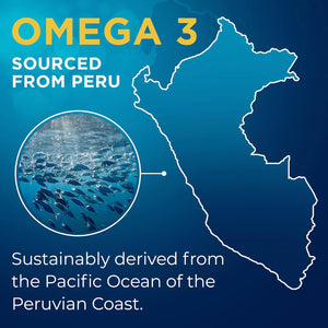 Omega 3 1000Mg Capsules - 240 Fish Oil Tablets with 660Mg EPA & 440Mg DHA per Daily Serving - Supports Heart, Vision, & Brain Health - 4 Months Supply - Made in UK…