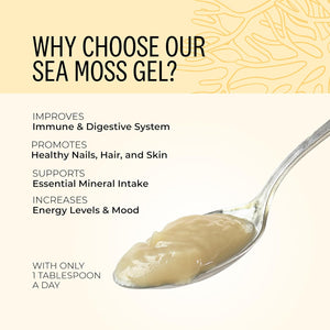 Wyld Herbs All-Natural Organic Sea Moss Gel | 100% Wildcrafted Dr Sebi Sea Moss | Superfood Rich in Minerals, Proteins & Vitamins - Vegan & Gluten Free Sourced from the Caribbean 720ML