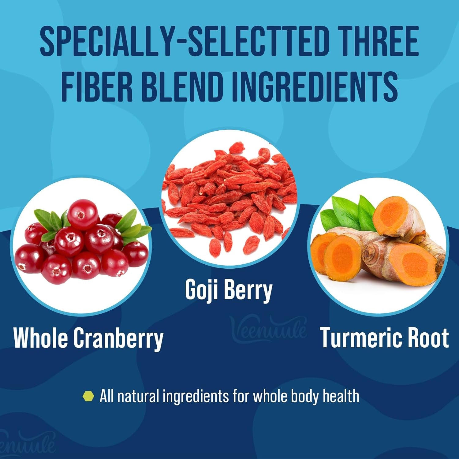 500 Billion CFU Probiotics for Men, 12 Diverse Strains Probiotics for Gut Health with Cranberry, Turmeric, Goji, for Digestive & Immune Health, Shelf Stable (60 Count (Pack of 1))