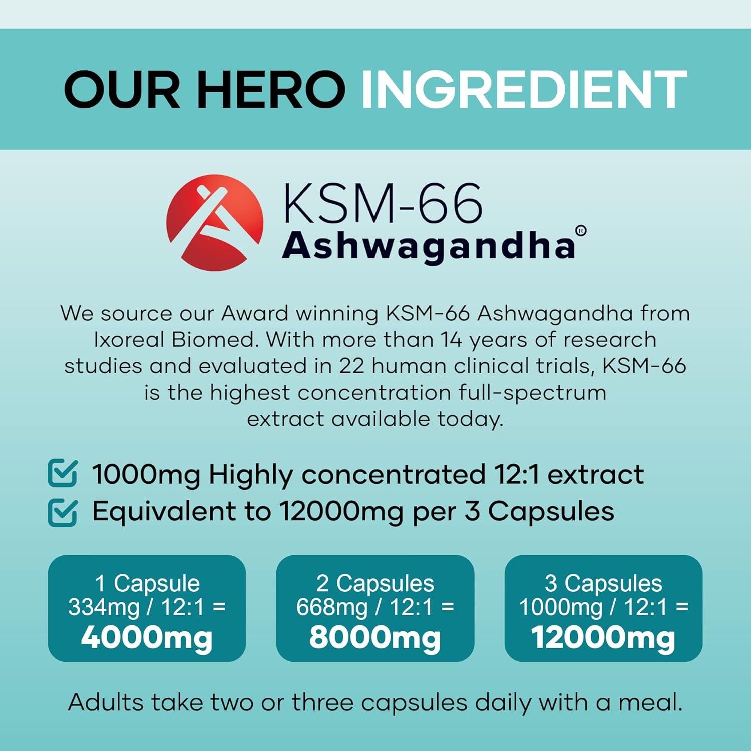 Vita Calm All-In-One Stress Relief with Ashwagandha KSM 66 12000Mg (High Strength 12 to 1 Extract), Passion Flower, Lemon Balm, Bacopa, L- Theanine, Magnesium, B Complex, Folate & Zinc