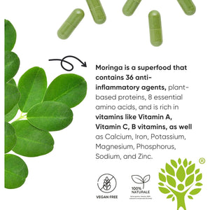 Organic Moringa Oleifera Capsules – 100% Natural Superfood | High Fibre Supplements | Supports Digestion, Metabolism & Immune System | 90 Moringa Capsules Made in Italy - Redmoringa