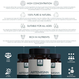 Earth Botanic Organic Artemisinin (Artemisia Absinthium) with Piperine - 120 Vegan Capsules Supports Immunity -60 Days Supply - Non-Gmo, Gluten Free, No Additives