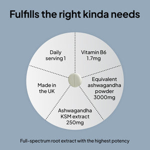 Wish Fusion Ashwagandha 3000Mg 90 Vegan Tablets - Ashwagandha High Strength for Stress Relief, Deeper Sleep, Calmness, Focus & Hormonal Balance Ashwaganda KSM 66 Complex - UK Made