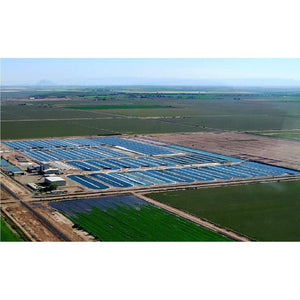 PINK SUN Organic Chlorella Tablets 500Mg X 1000 Tabs Pyrenoidosa Broken Cell Wall Cracked Gluten Free Non GMO Vegetarian Vegan Certified Organic by the Soil Association 500G Bulk Buy