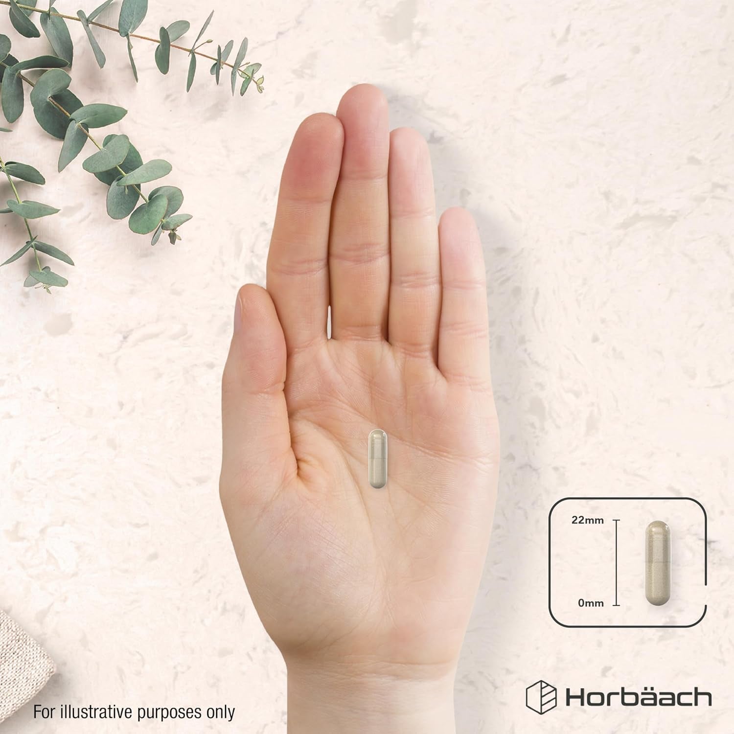 Liver Support Supplement | Milk Thistle Complex with Artichoke, Dandelion, Choline, Turmeric, Beetroot and More! | 16 Active Ingredients | Vegan Liver Health | 120 Capsules | by Horbaach