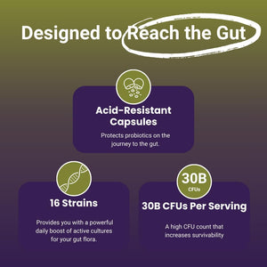 Nutrizing Bio Cultures Complex Probiotics for Gut Health - High Strength 30 Billion CFU with 16 Bacterial Cultures - Vegan Gut Health Supplements - Probiotics for Men & Women - Made in UK