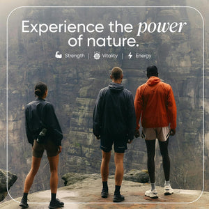 Revigr, Max Strength 2,765Mg, 90 Shilajit Gummies, Authentic Himalayan Origin + Lions Mane Mushroom, Ashwagandha, Magnesium, Zinc & Vitamin C, Vegan & Sugar-Free,Passion Fruit Flavour (45 Days Supply)