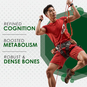 Ambrosial Zinc Picolinate Supplement 30 Mg – High Strength Zinc Tablets for Immune System, Skin, Hair & Nails for Women & Men – Vegan, Non-Gmo, GMP Certified, 120 Tablets (4 Months Supply)