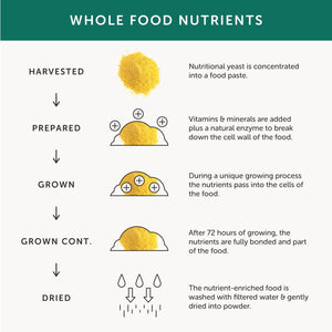 Gentle Iron – Together Health – Whole Food Nutrients – Iron and B Vitamins – Vegan Friendly – Made in the UK – 120 Vegecaps – Pack of 4